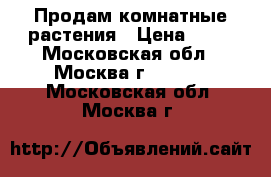 Продам комнатные растения › Цена ­ 70 - Московская обл., Москва г.  »    . Московская обл.,Москва г.